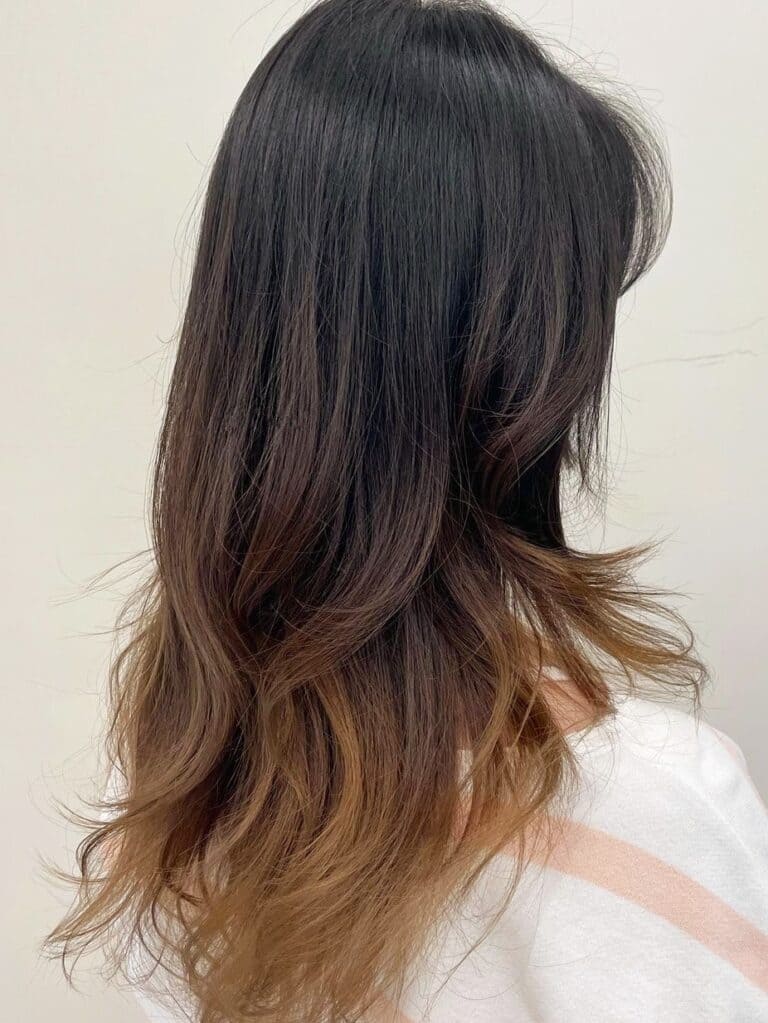 Brown Ombre on Black Long Hair