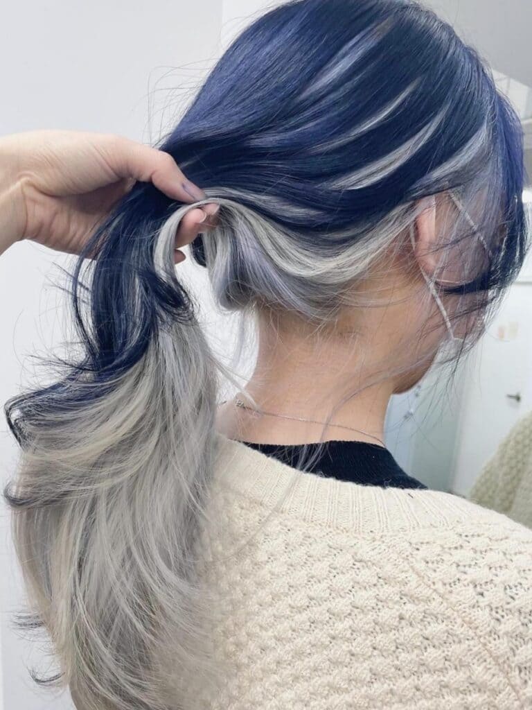 Midnight Blue + Silver Hair Color