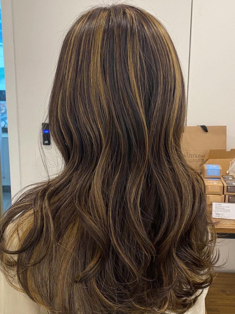 Brown hair with highlights 