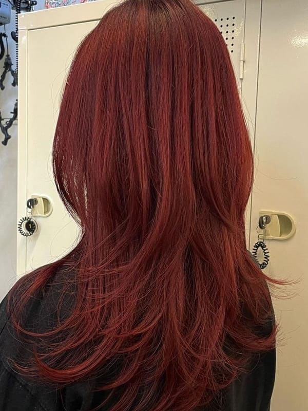 Korean layered shoulder length hair in red brown color