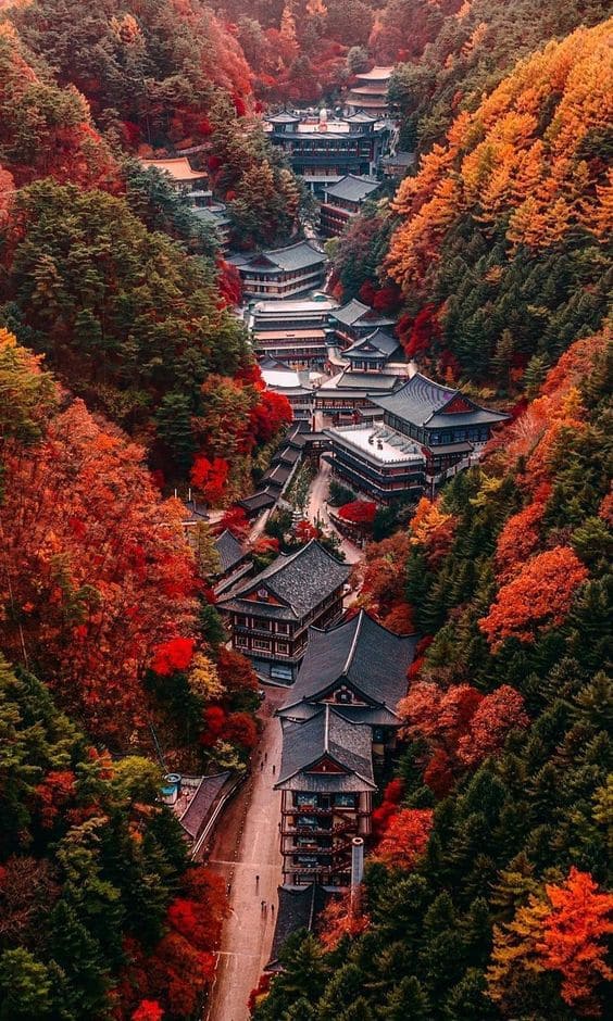 Korean traditional place in the fall season