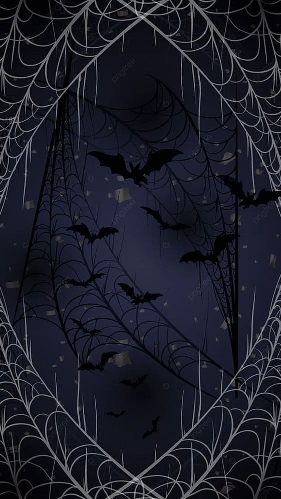 spider webs and bats 