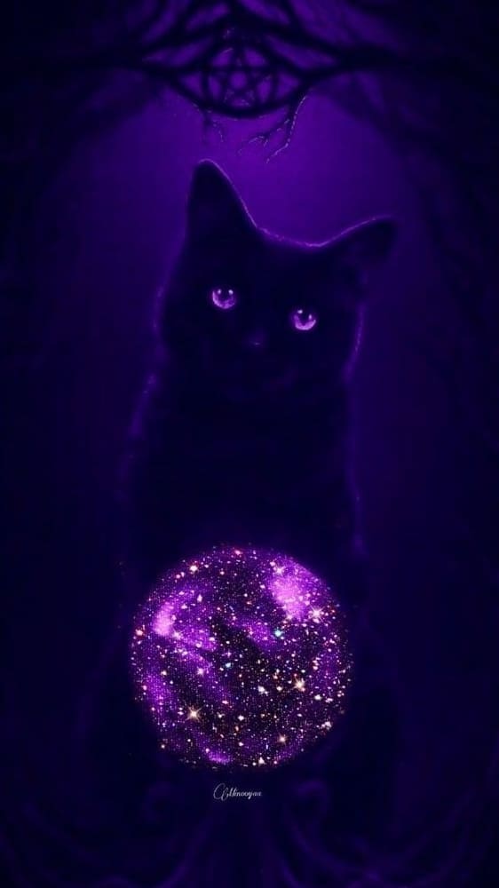 witch wallpaper: black cat aesthetic 