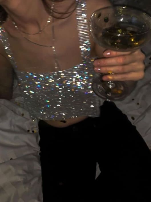 silver sequin cropped top 