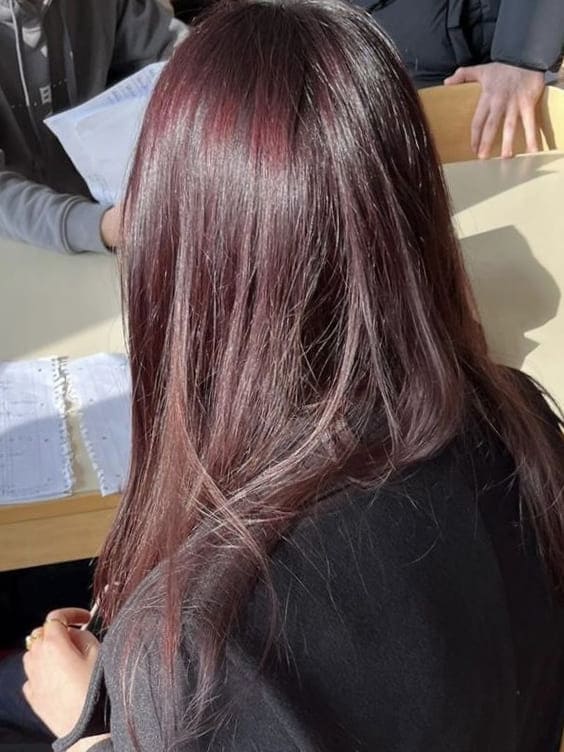winter Korean hair color: red violet