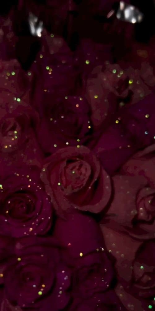 Aesthetic Valentine's Day Wallpaper: Glistening Rose Hues