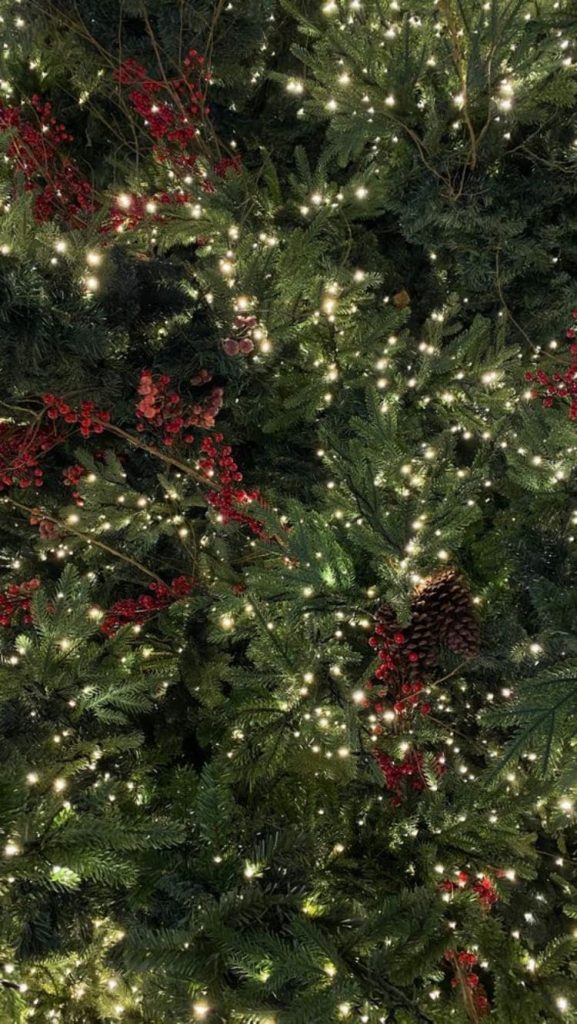 aesthetic Christmas tree wallpaper: lights 