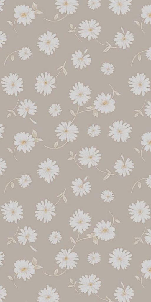 cute flower wallpaper: neutral daisies