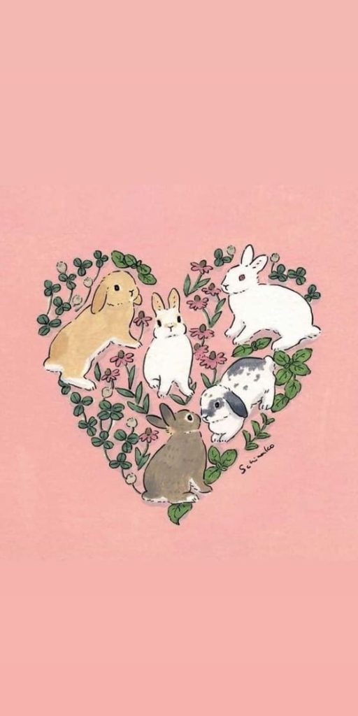 bunny friends 
