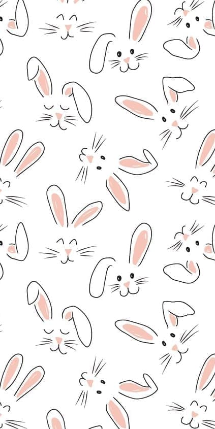cute bunny faces