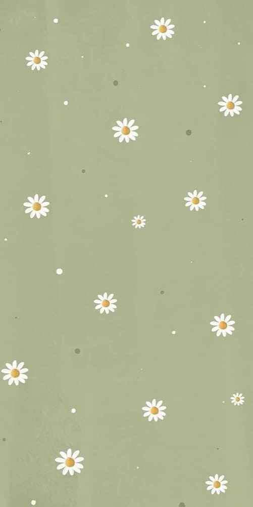 dainty daisy background