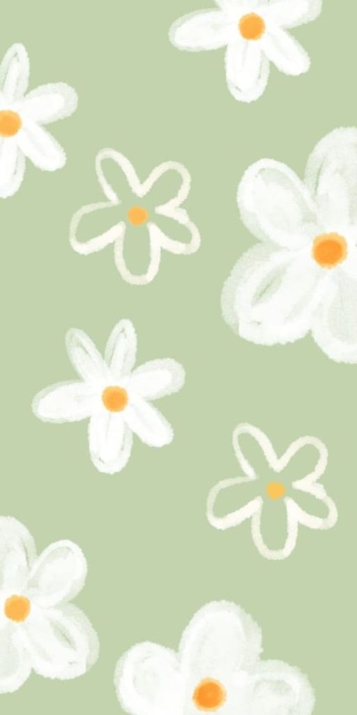 dainty daisy background